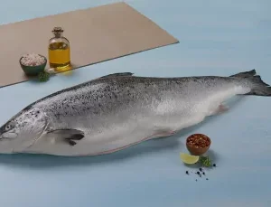 Salmon Fillet